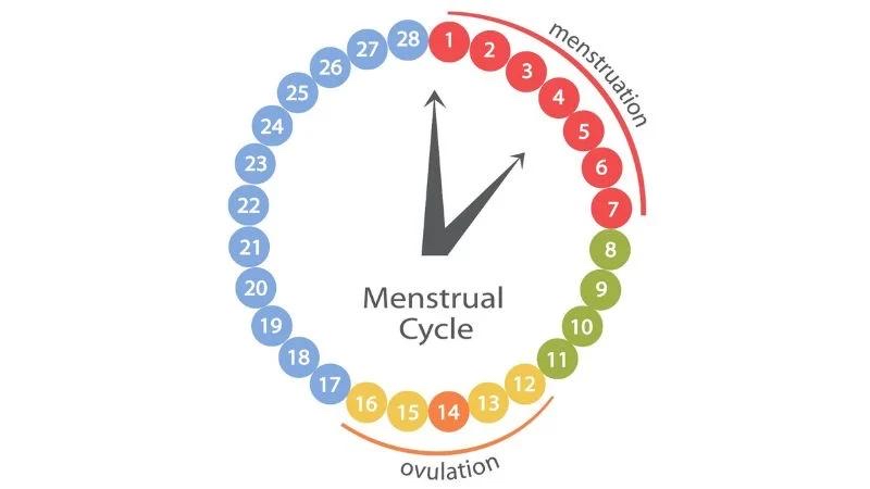 3f958317 0e10 4152 8414 8d9405f75e4b (1)