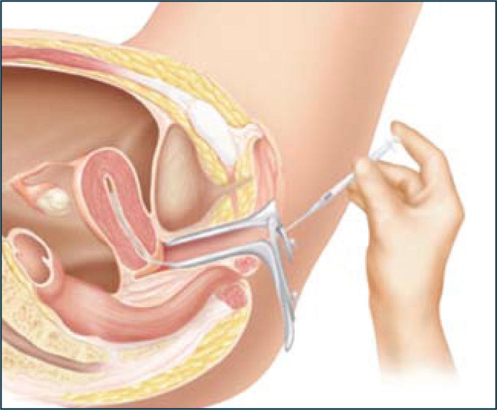 75450243 56ad 4f8c b740 c77e5b083f67