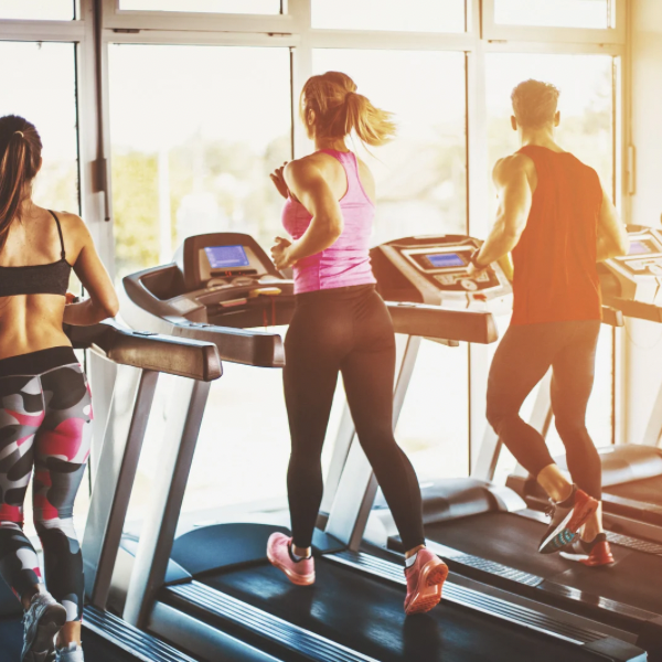 regular physical activity supporting digestion and gut health improvement