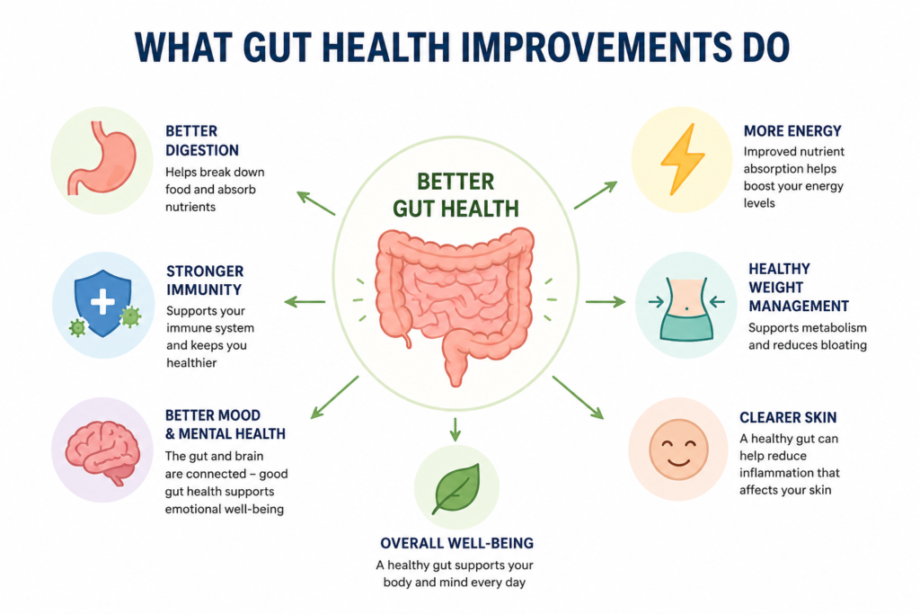Importance of gut health improvement