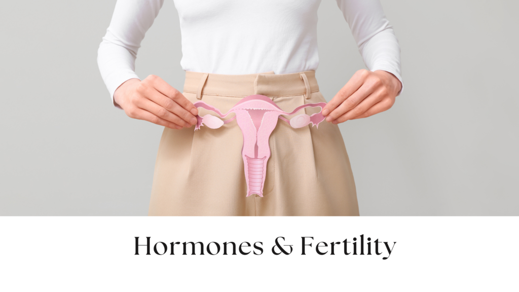 hormones & fertility